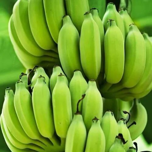 Organic A Grade Green Banana, Shelf Life : 15 Days