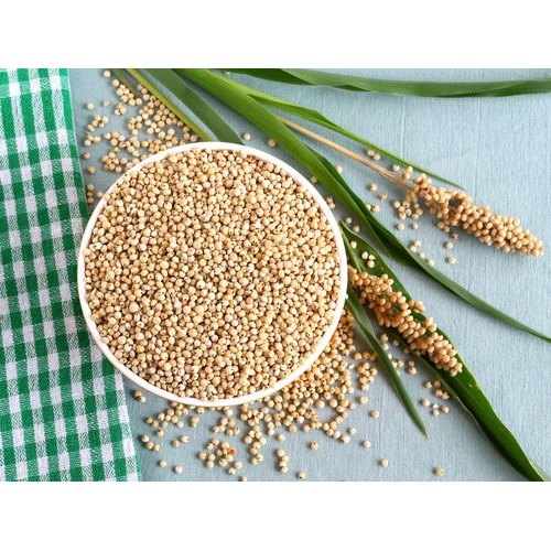 Natural Jowar Grain, Purity : 100%