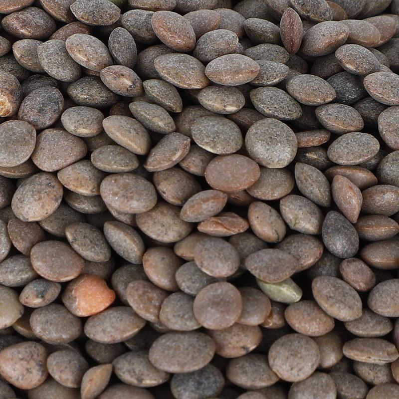 Black Masoor Dal