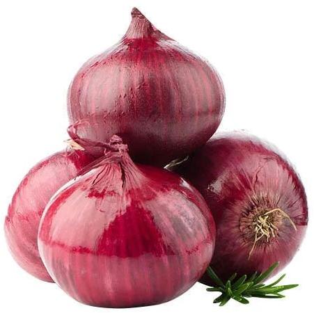 Natural Red Onion, for Food, Shelf Life : 7-15days