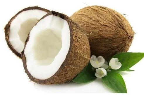 Whole Hard Organic Fresh Coconut, for Pooja, Medicines, Cosmetics, Cooking, Packaging Type : Gunny Bags