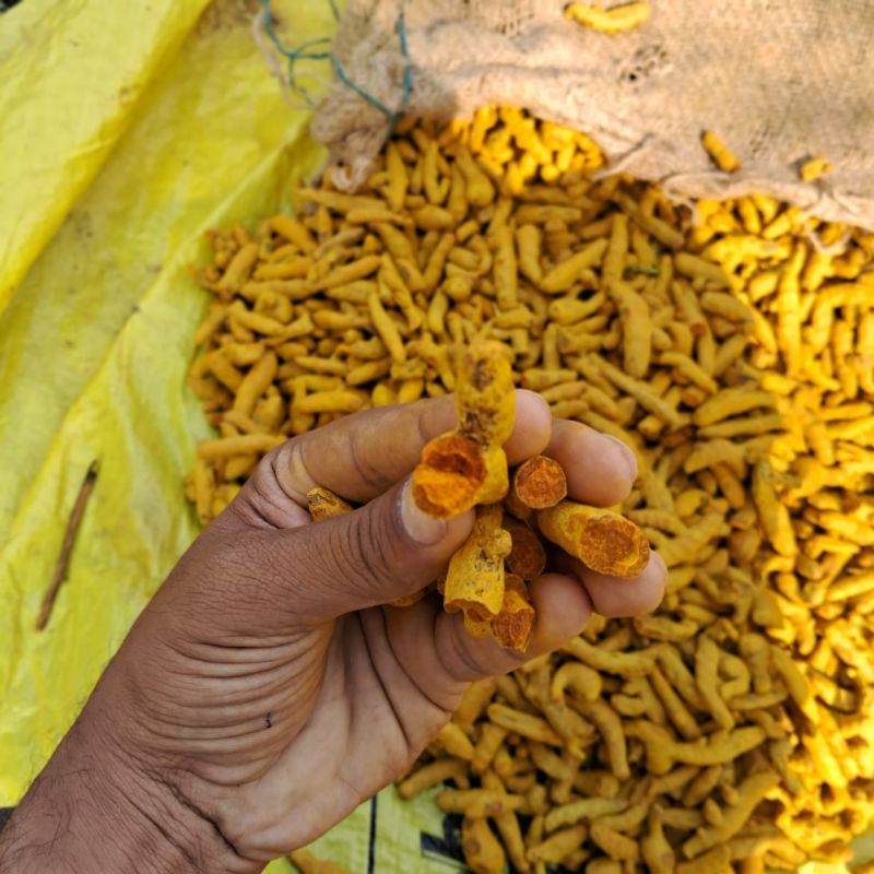 Yellow Turmeric Finger, For Cooking, Spices, Food Medicine, Cosmetics, Packaging Type : Pp Bags