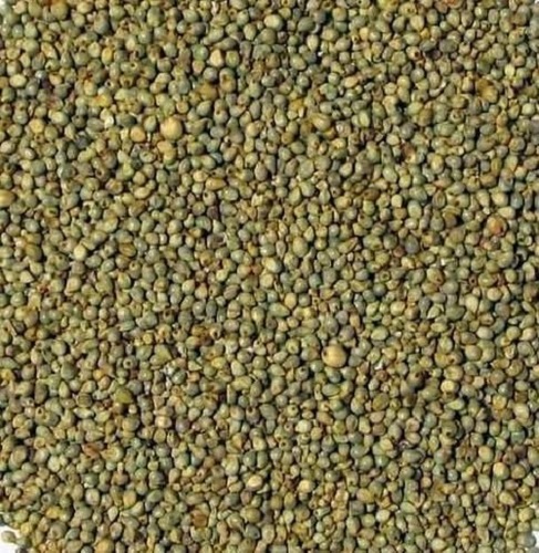 Aathorg Natural Whole 25 Bajri Seeds (Pennisetum glaucum), for Cooking, Shelf Life : 12 Months