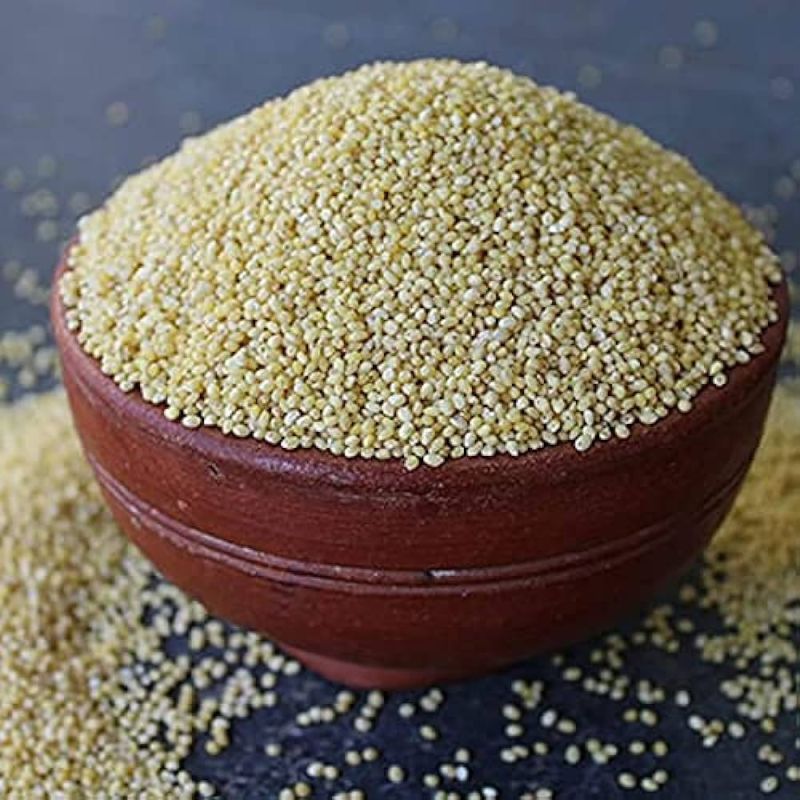Natural Little millet (Panicum sumatrense), for Cooking, Cattle Feed, Shelf Life : 12months
