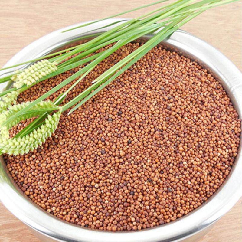 Dried Ragi Seeds (Eleusine coracana), for Cooking, Packaging Type : Paper Bags