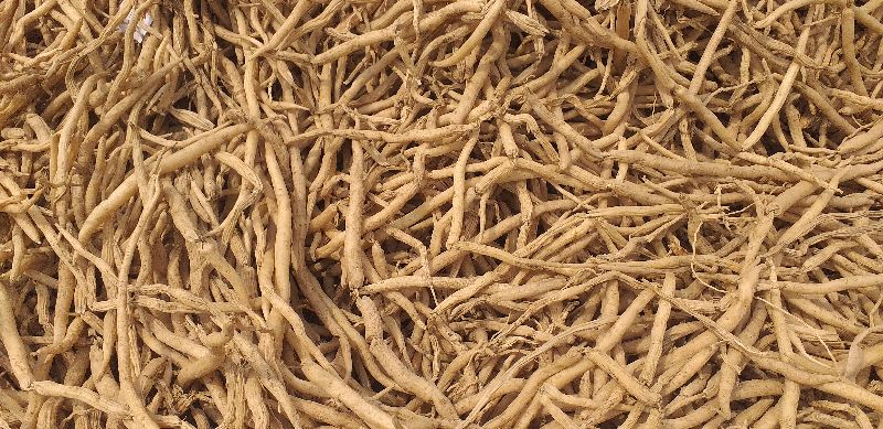 Organic shatavari root, Grade Standard : Food Grade
