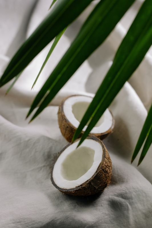 Hard Natural coconut, Coconut Size : Medium