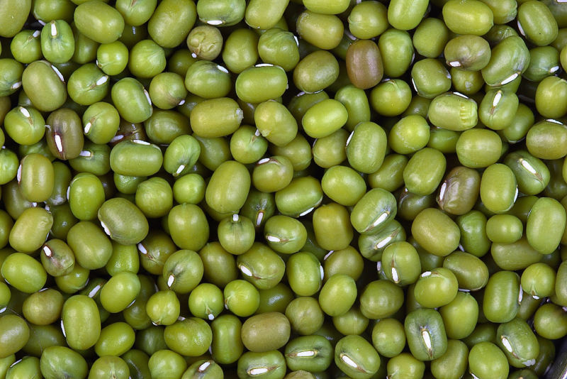 Seeds Green Gram Beans