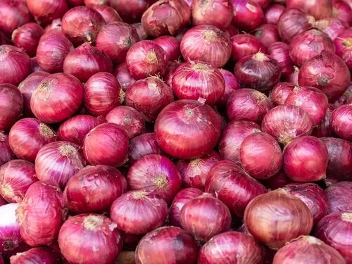 A Grade Red Onion, Shelf Life : 15 Days