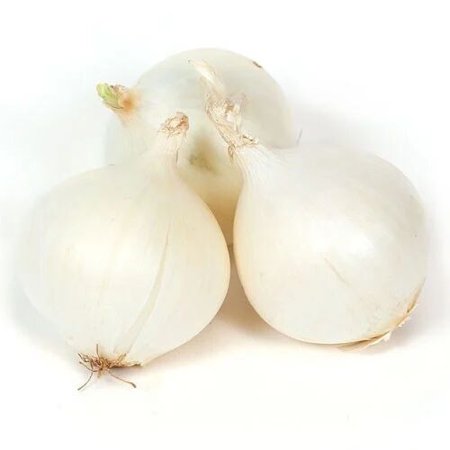 Fresh White Onion, Shelf Life : 15days
