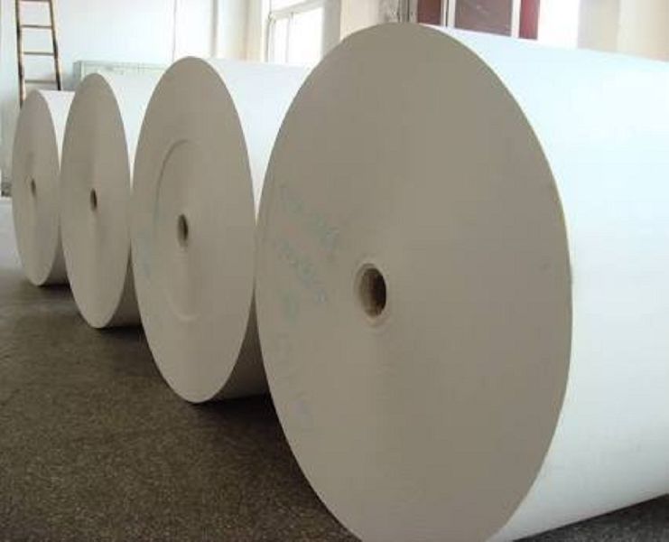 White Duplex Paper Board Rolls, For Book Cover, Gift Wrapping, Package, Printing