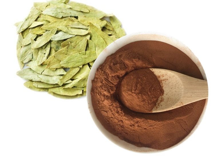 Senna Leaf Extract 10-60% Sennoside