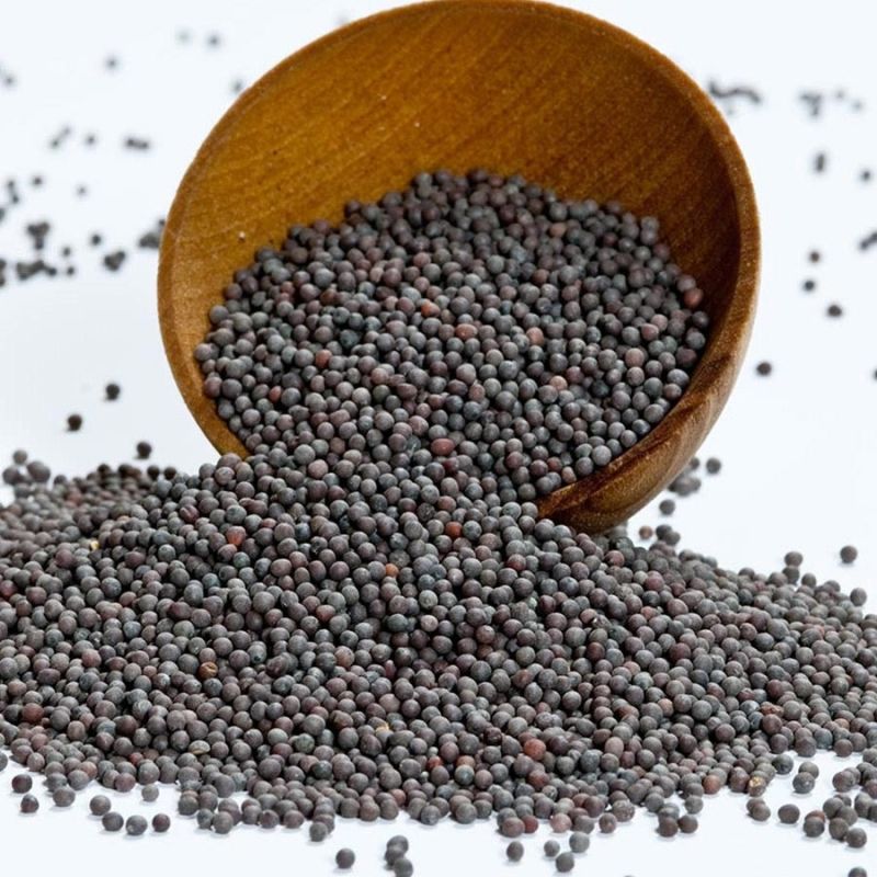 Granules Organic Black Mustard Seeds, for Spices, Shelf Life : 9 Month
