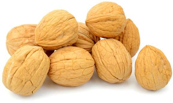 Whole Walnut, Shelf Life : 3 Years