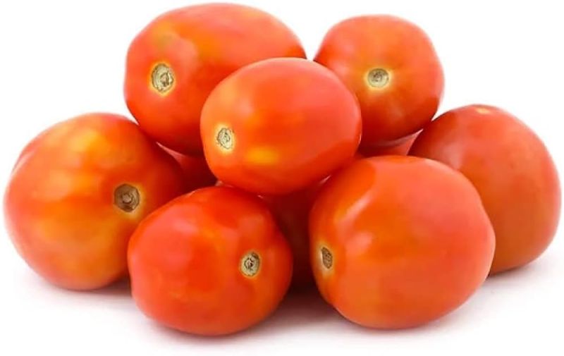 M.Y.R. Red Natural Fresh Tomato, for Cooking, Shelf Life : 7-10days