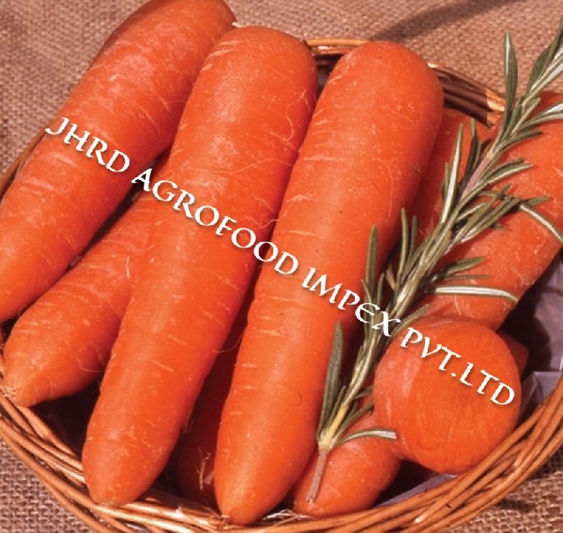 carrot