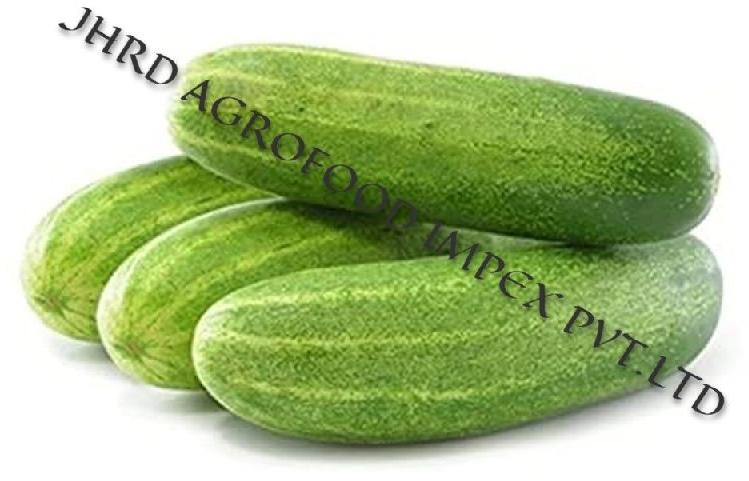 Cucumber, Packaging Size : 1 Kg, 5Kg