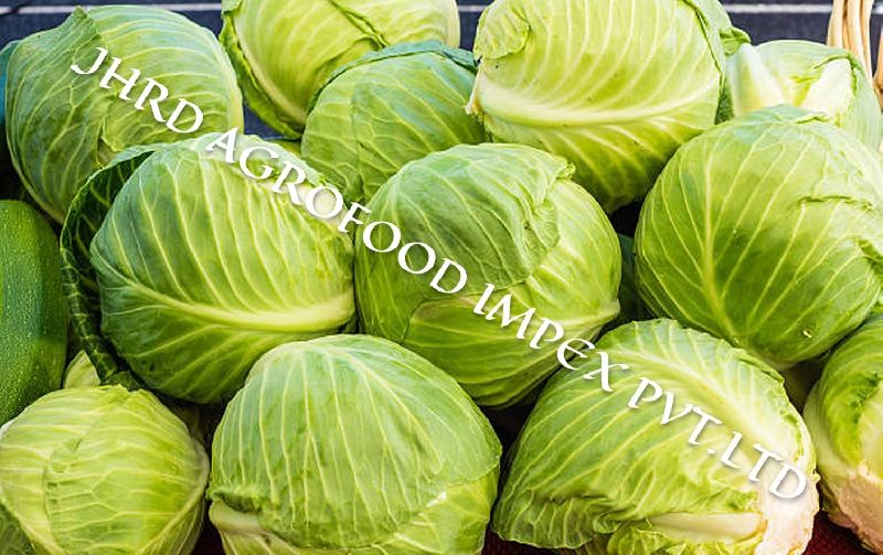 Green cabbage, for Hotel, Kitchen, Size : Multisizes