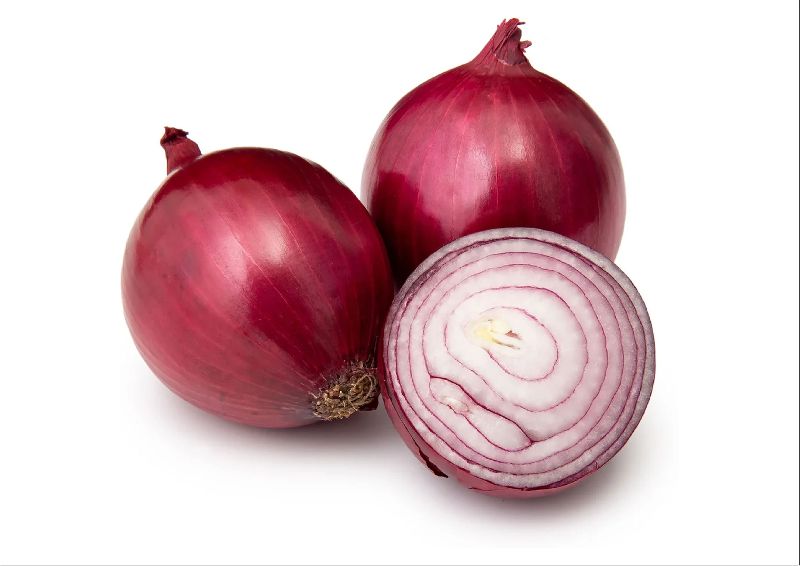 fresh onion