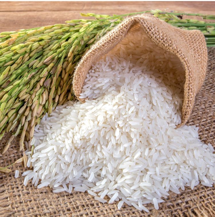 Natural indian rice, for Human Consumption, Packaging Size : 20Kg, 25Kg