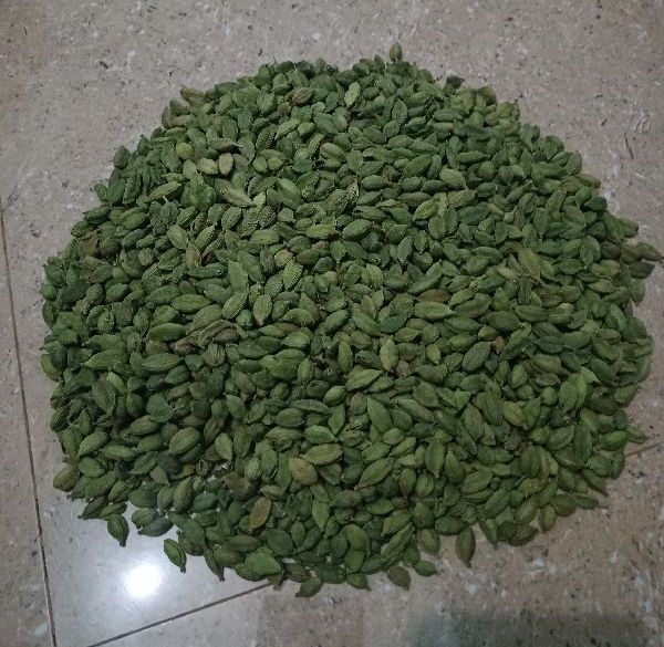 Blended Natural 7mm Green Cardamom, for Spices, Specialities : Good Quality