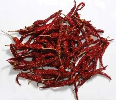 Byadgi Dry Red Chilli, Specialities : Good Quality, Non Harmful, Rich In Taste
