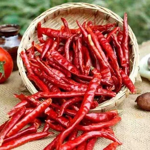 Guntur Dry Red Chilli, Taste : Spicy
