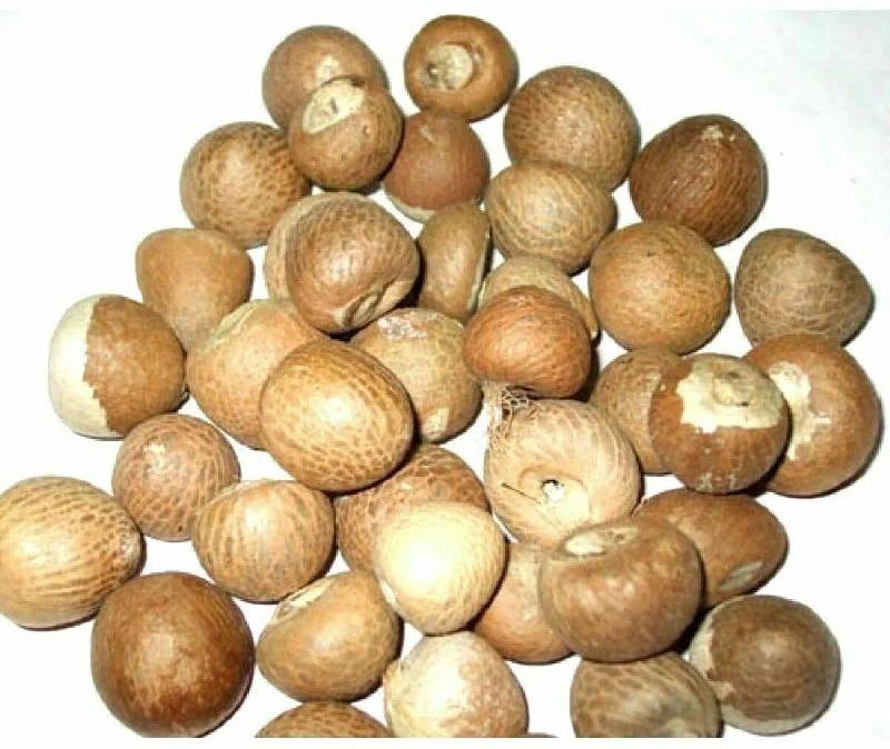 Dried Areca Nut, Color : Brown