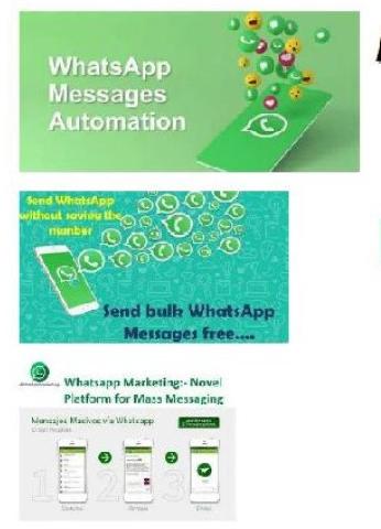 Whatsapp Marketing Consultancy