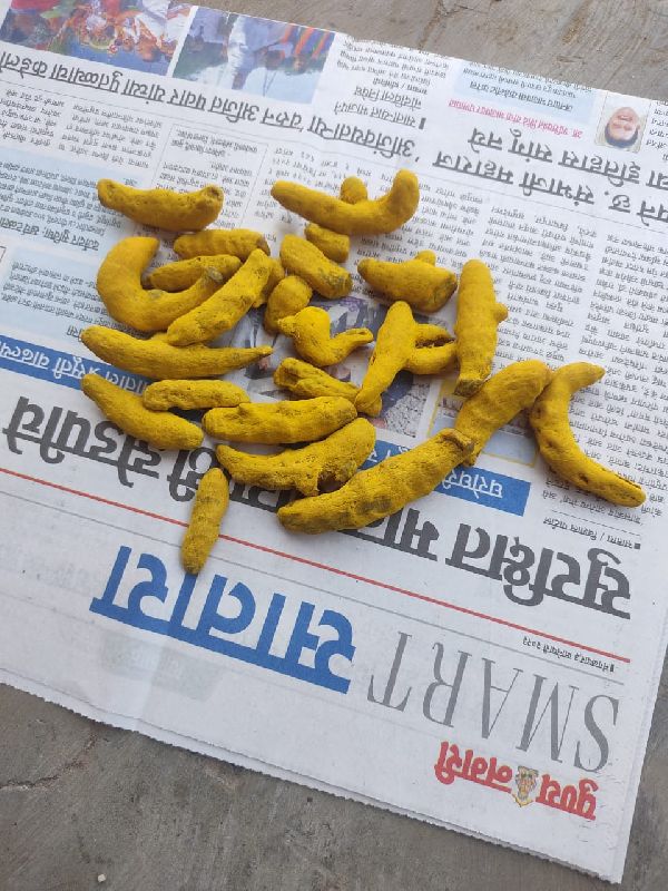 Dry turmerics, Color : Yellow