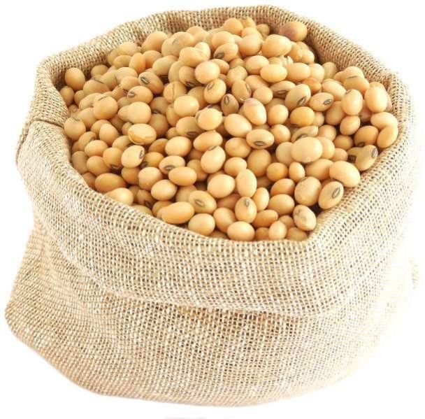 Organic Non-gmo Soya Bean