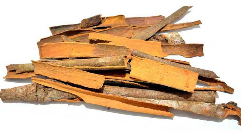Organic cinnamon sticks, Specialities : Good Quality