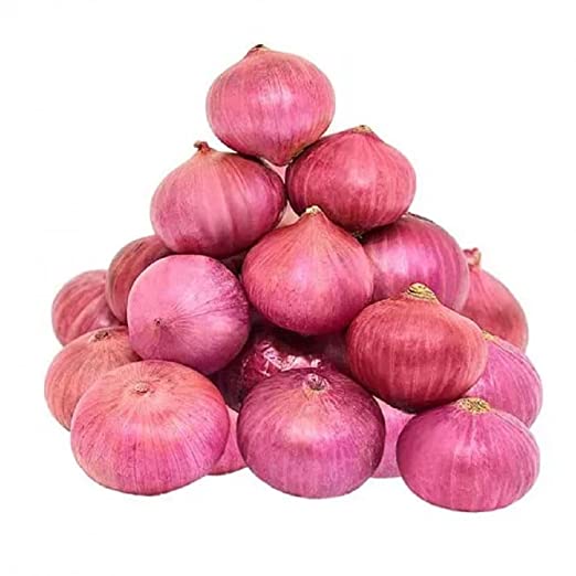 Organic fresh onion, Color : Pink