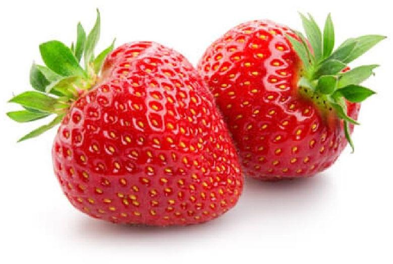 Organic Fresh Strawberries, Freezing Process : Cold Storage