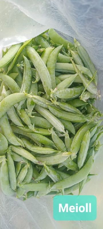 Whole Fresh Green Peas, for Human Consumption, Shelf Life : 15 Days