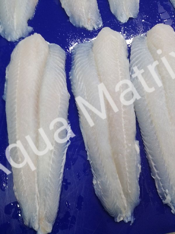 frozen pangasius fillets
