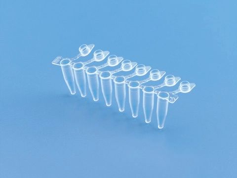 Plastic PCR Tubes, for Filling Blood, Feature : Cold Resistance, Crack Proof, Disposable, Durable