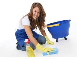 Tile Cleaner, Certification : ISO 9001:2008 Certified