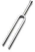 Tuning Fork