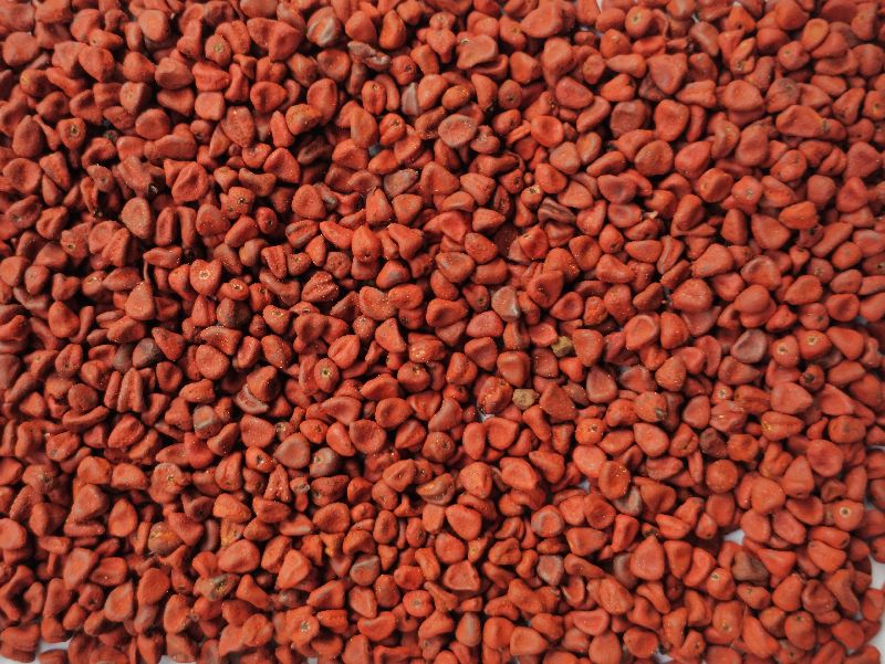 Solid Annato Seeds, Color : Red