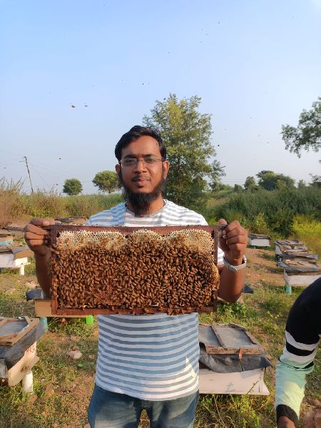 Natural Farm Honey