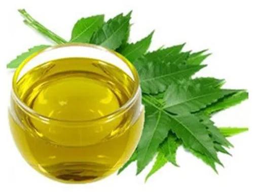 Plant Care neem oil
