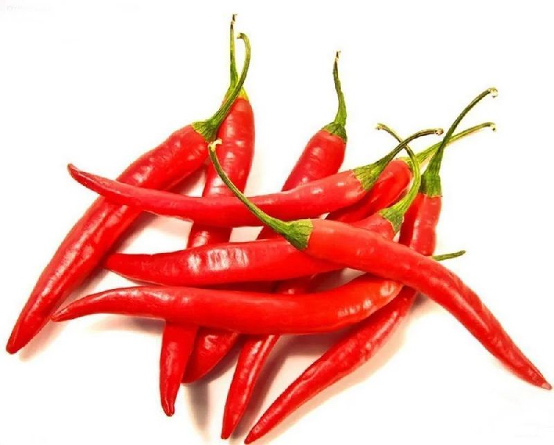 Natural Fresh Red Chilli, for Food, Making Pickles, Powder, Taste : Spicy