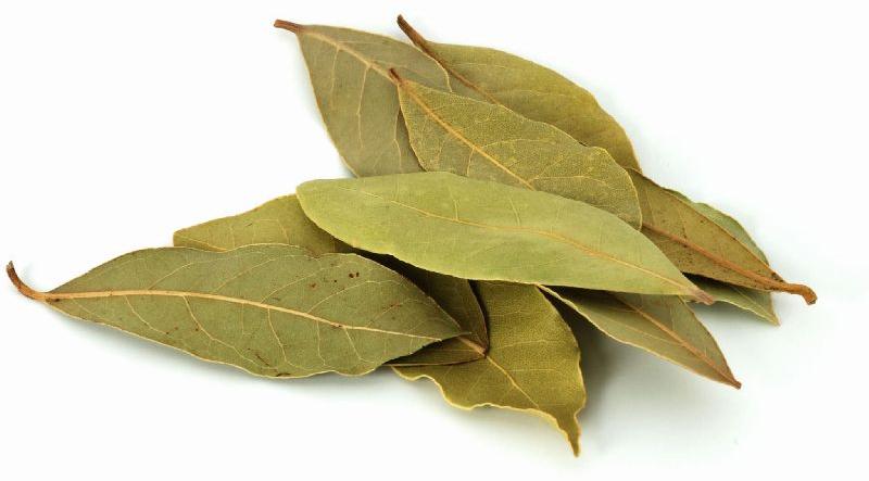 Bay leaf, Shelf Life : 6 Months