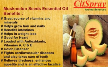 Muskmelon Seed Essential oil
