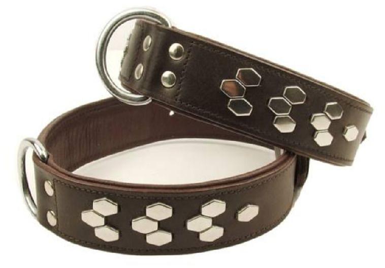 dog leather belts