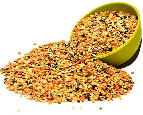 Organic Mixed Dal, Feature : Easy To Cook, Healthy To Eat, Nutritious