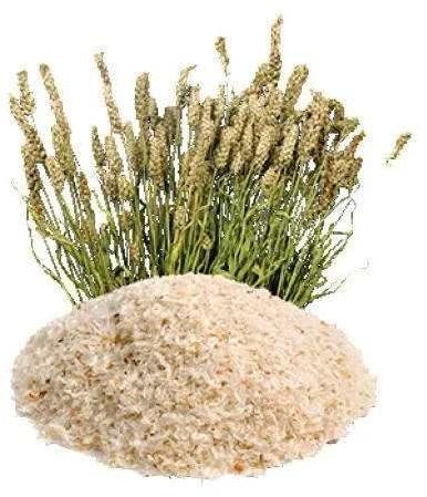 psyllium husk powder