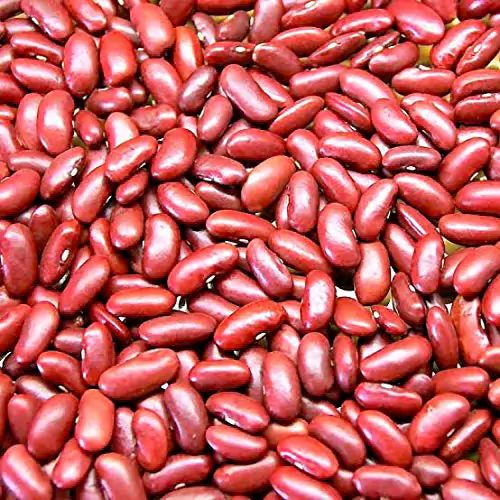 Red Kidney Beans, Feature : Best Quality, Good For Health, Rich In Taste