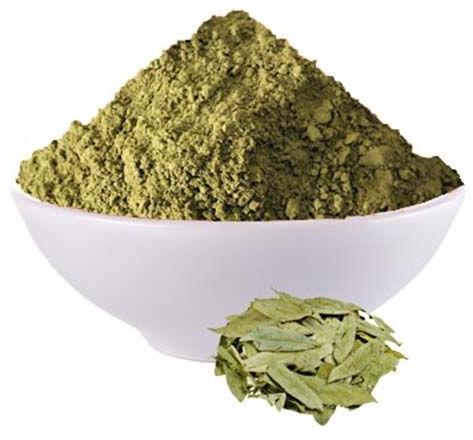 Senna Leaves Powder, Feature : Good Flavour, Healthy To Drink